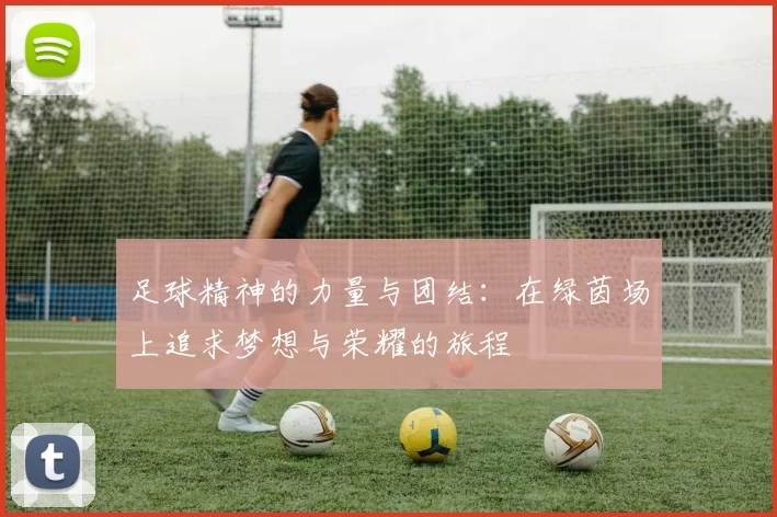 足球精神的力量与团结：在绿茵场上追求梦想与荣耀的旅程