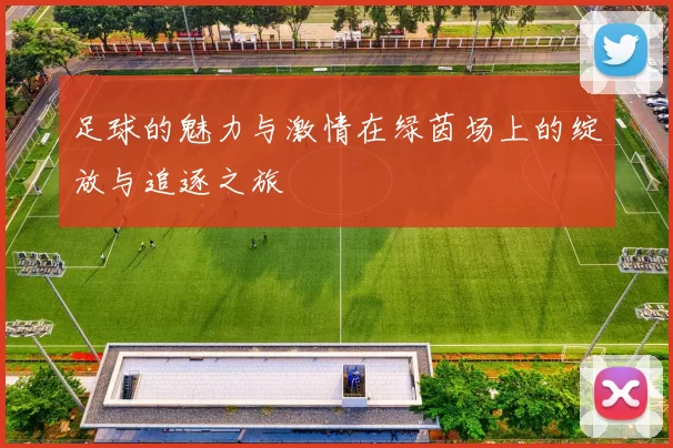 足球的魅力与激情在绿茵场上的绽放与追逐之旅