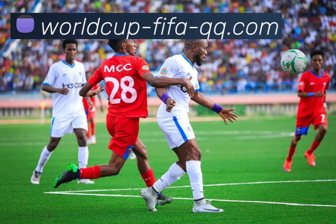 世界杯中国网站平台生态图